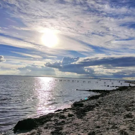 Luxury Pool By Sea - By Traum Tatil Evi Høruphav